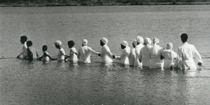 princess vlei princess vlei